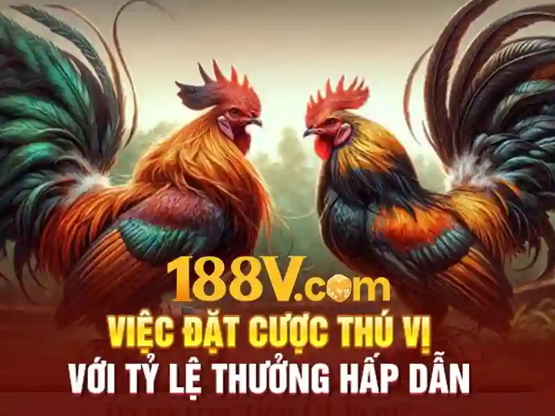 188V – Trang Chủ Độc Quyền 2026 | 188v Game Slot Trực Tuyến Tốt Nhất