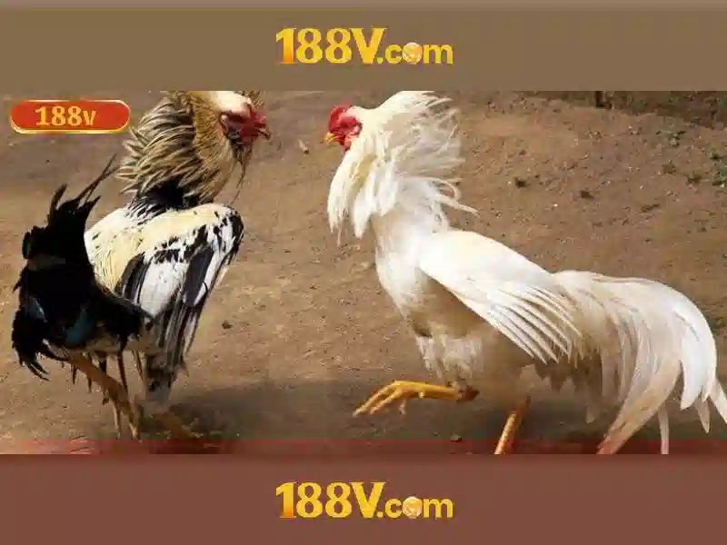 Trải Nghiệm Chơi SLOT Tại Nhà Cái 188v