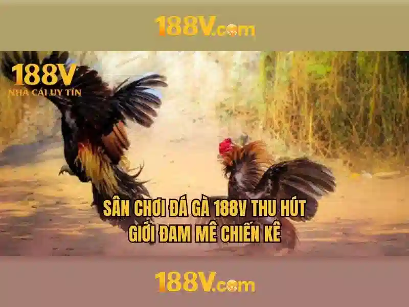 Trò chơi Slot 3D hấp dẫn tại 188V