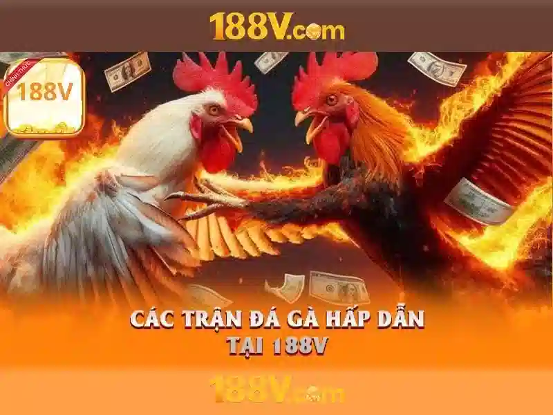Khuyến mãi slot độc quyền
