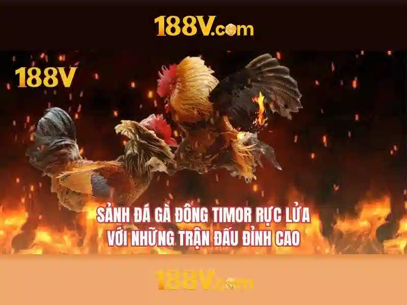 Quy Định Sử Dụng Slot 188V