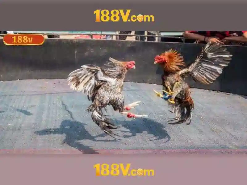 Khuyến Mãi Slot 188V