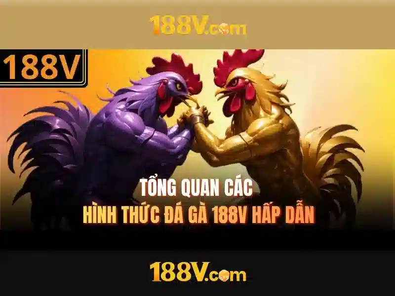 Trải nghiệm slot đỉnh cao