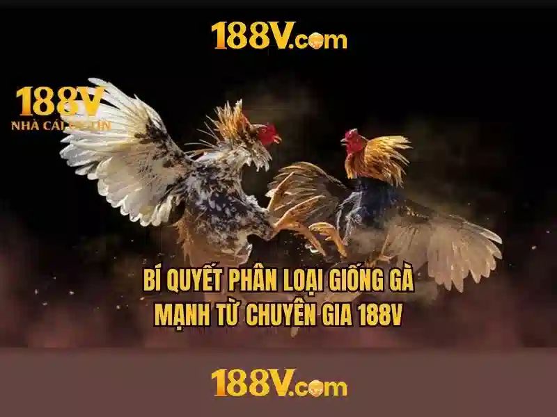 Trải nghiệm cá cược Slot 188V