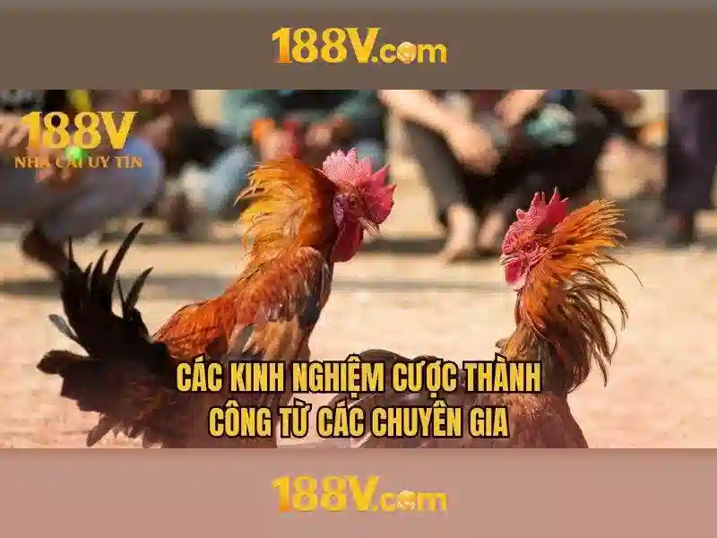 Bắn Cá 188V