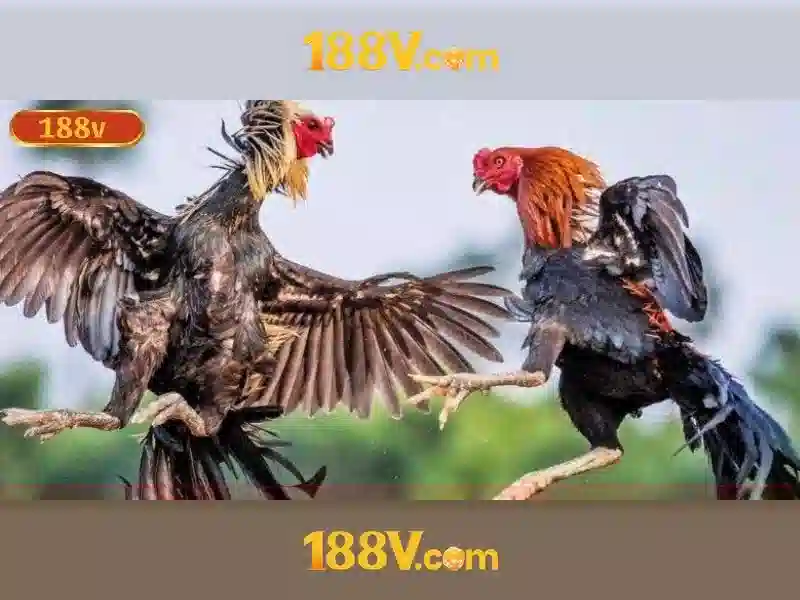 188V – Trải Nghiệm Slot Đỉnh Cao Không Bị Chặn 2026