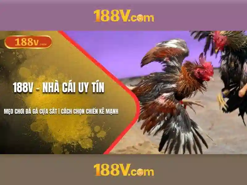 Slot 188V – Trải Nghiệm Chơi Slot Đỉnh Cao Với Giao Diện Hiện Đại