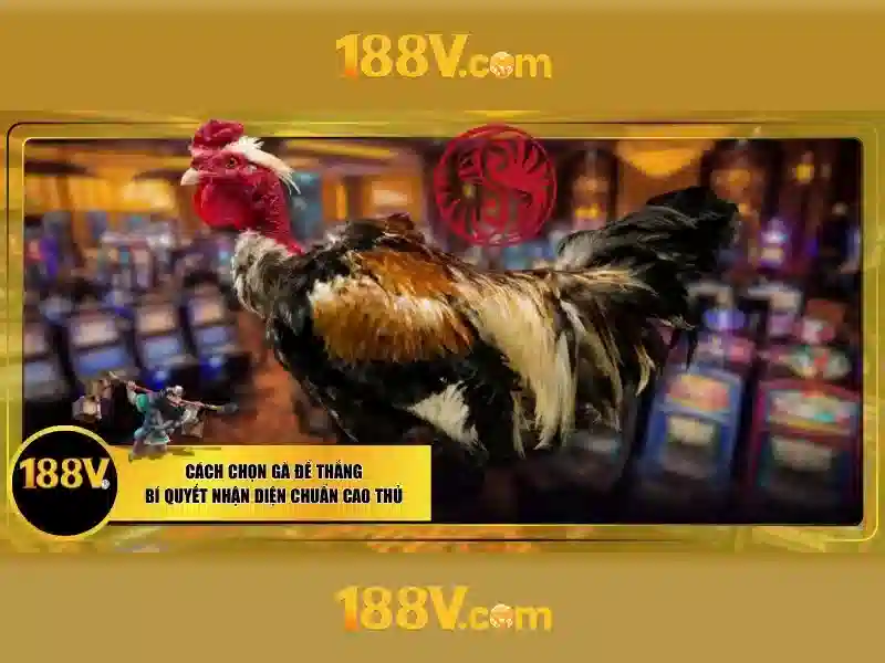 Tại Sao Nên Chọn 188V