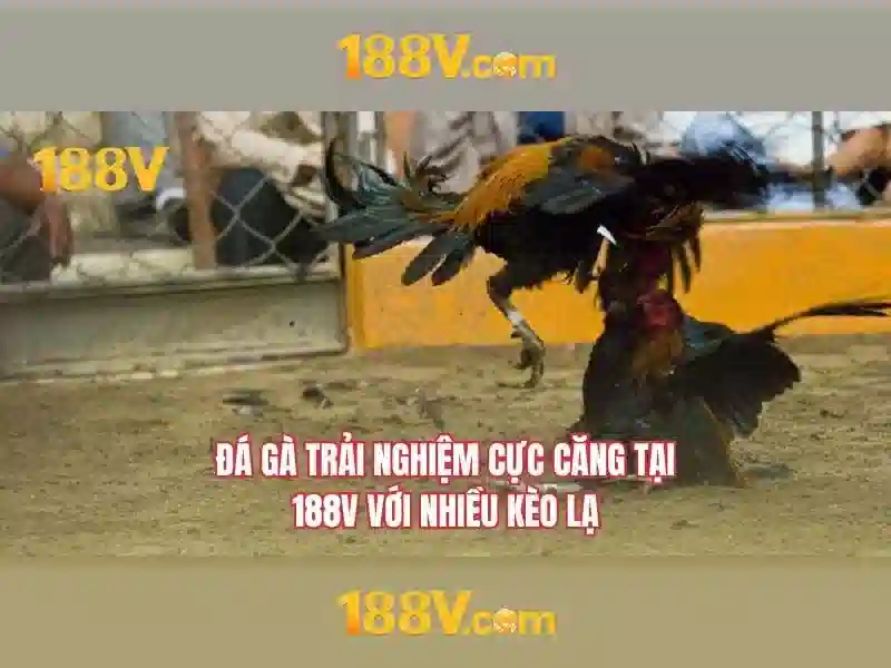 188V VIP – Trải Nghiệm Slot Đỉnh Cao Với Giao Diện Hiện Đại
