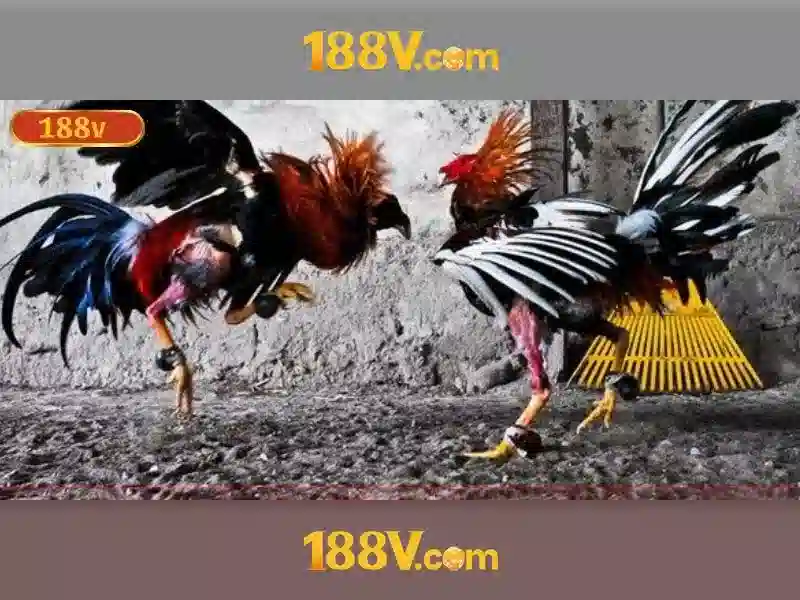 Bộ sưu tập game Slot đa dạng tại 188V