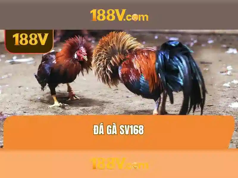 hướng dẫn code 188v