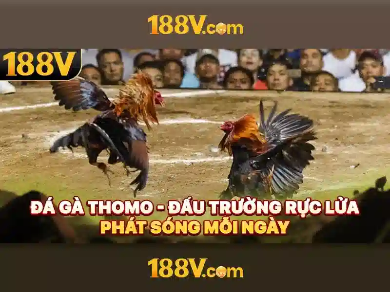 Tải App 188v