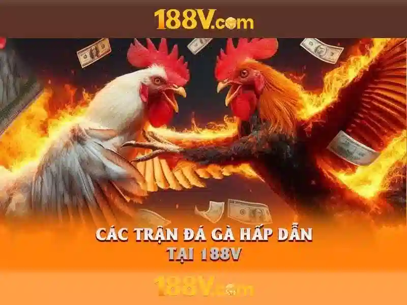 188V trải nghiệm SLOT đỉnh cao