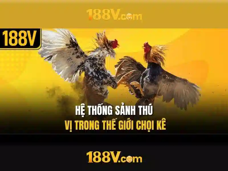 Chương Trình Ưu Đãi
