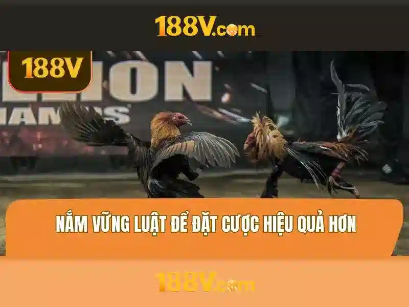 Khuyến mãi 188V 2026