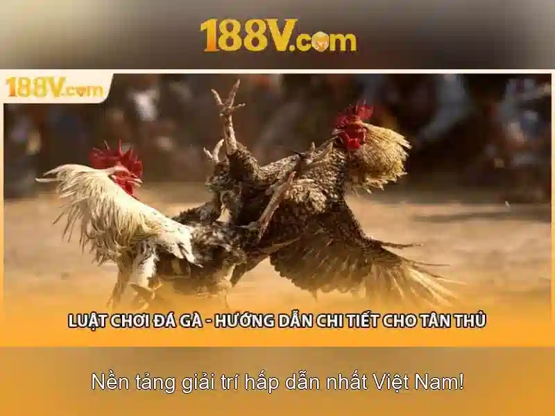 Lợi ích truy cập trang chủ chính thức 188V