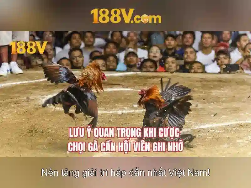 Ưu Điểm Đăng Ký 188V