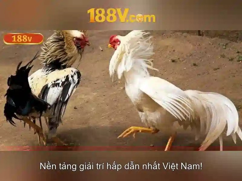Trải Nghiệm Đỉnh Cao Trong Thế Giới game bài 188v