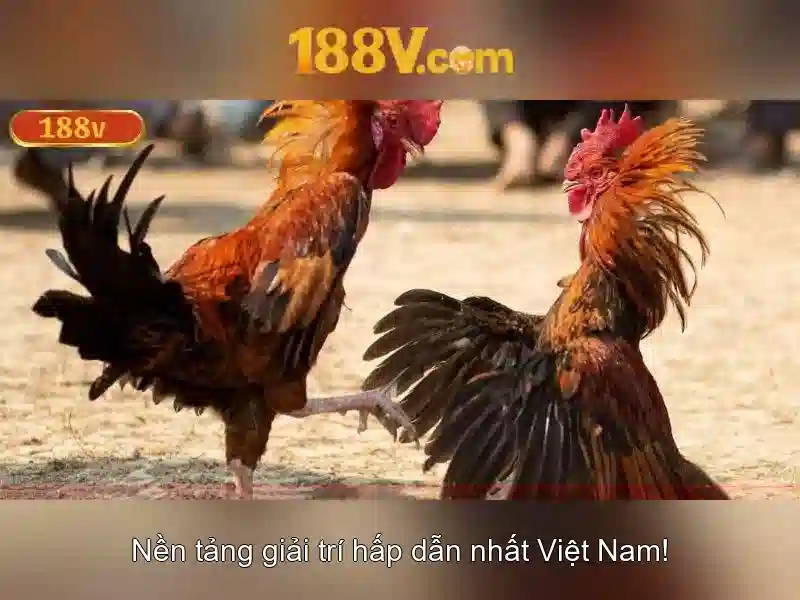 Ưu Đãi Đặc Biệt Cho Thành Viên 188V