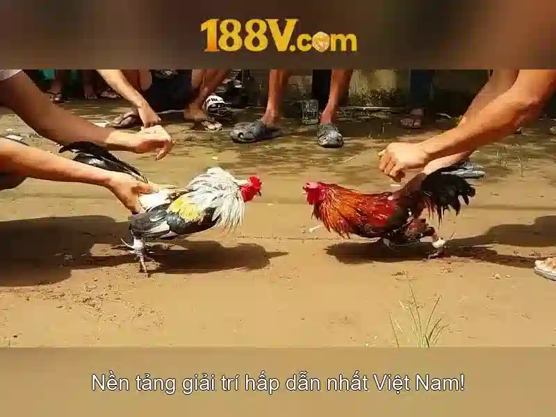 Trải Nghiệm Slot 188V