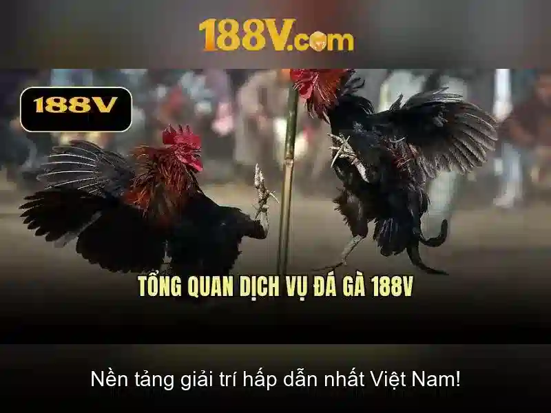 Code 188v Mới Nhất 2026