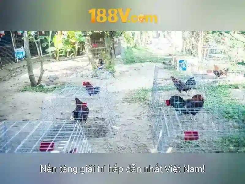 Khuyến Mãi 188V – Slot Mới Nhất 2026
