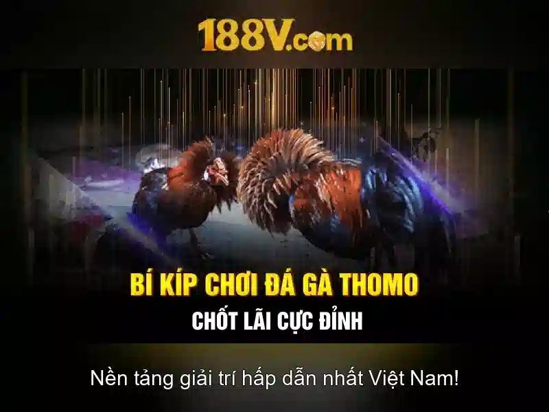 Quy trình rút tiền Slot tại 188v