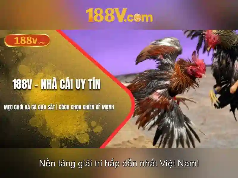 Tải 188v Ios