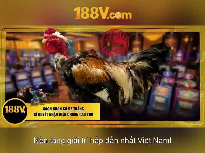Hướng dẫn tải 188V