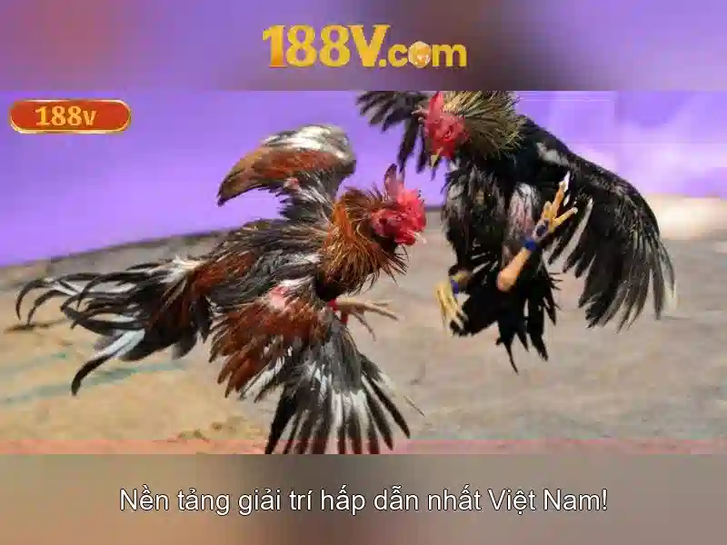 Lưu Ý Đăng Ký 188V