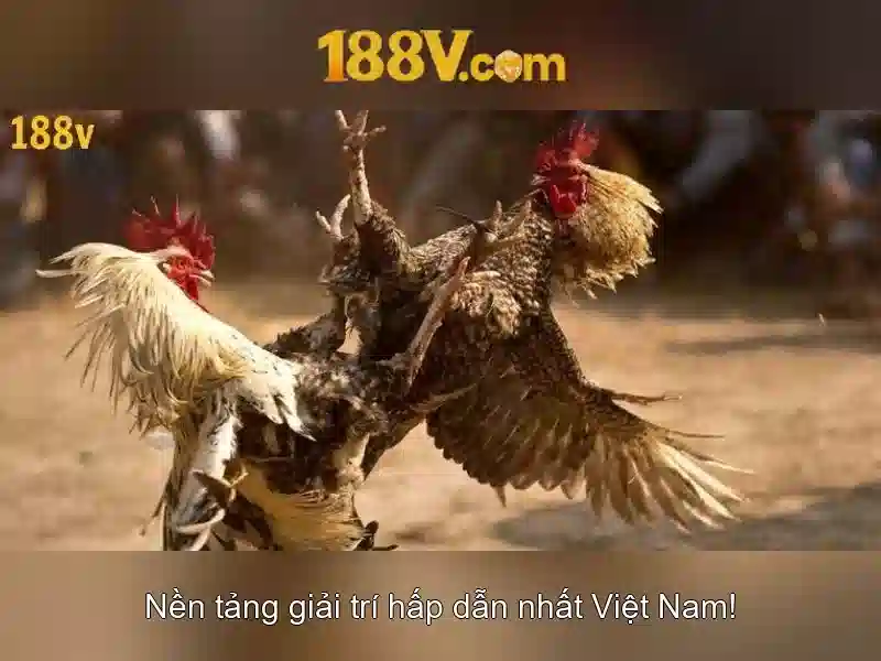 Ưu đãi 188V