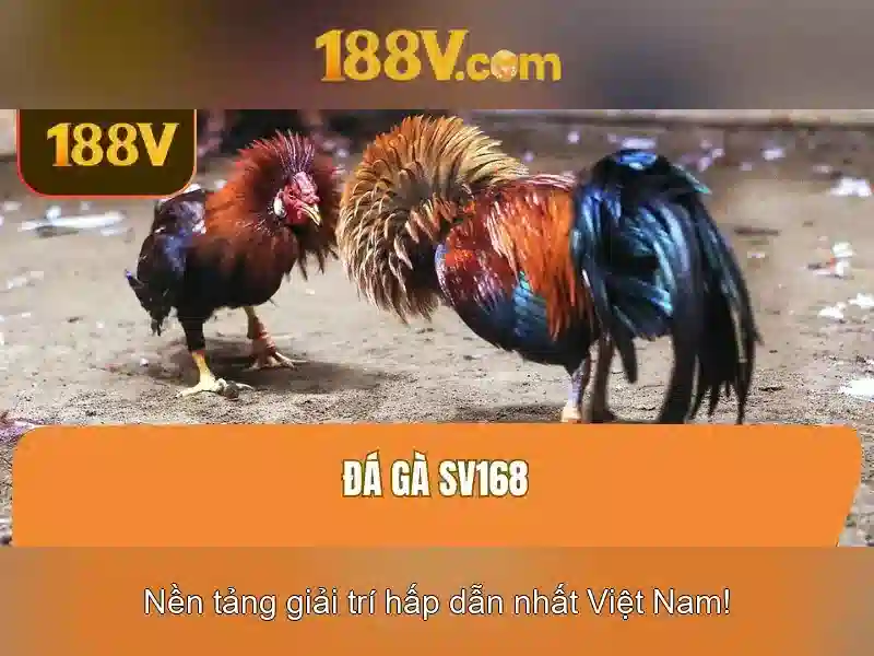 sảnh chơi slot 188v