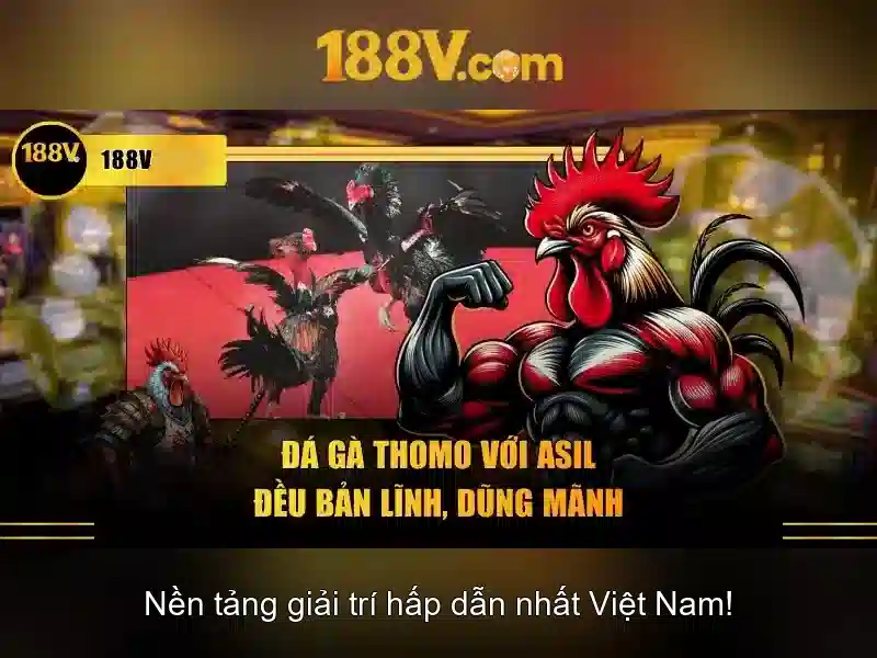 188V – Trang Chủ Casino 188V Chính Thức Không Bị Chặn 2026