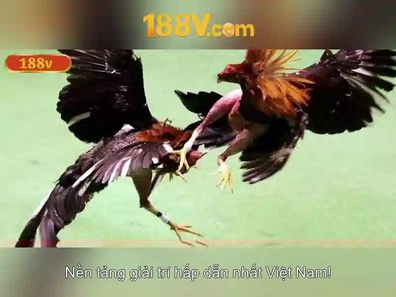 Đánh Giá Tính Năng 188V