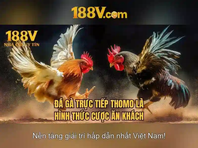 Lý do chọn 188V