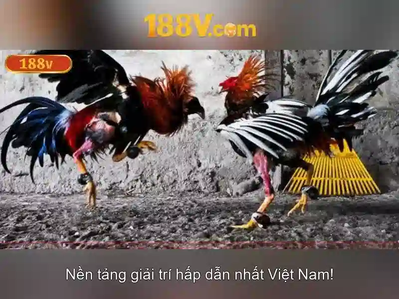 Ưu Đãi Dành Cho Thành Viên 188V